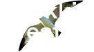 Lokki Creation